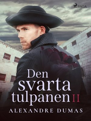 cover image of Den svarta tulpanen II